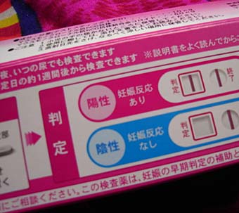 ������̎ʐ^